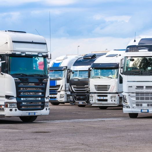 Autotrasporti conto terzi Trasporti con ampia gamma di mezzi GMG Montagnese Costruzioni - Edilizia e Autotrasporti conto terzi